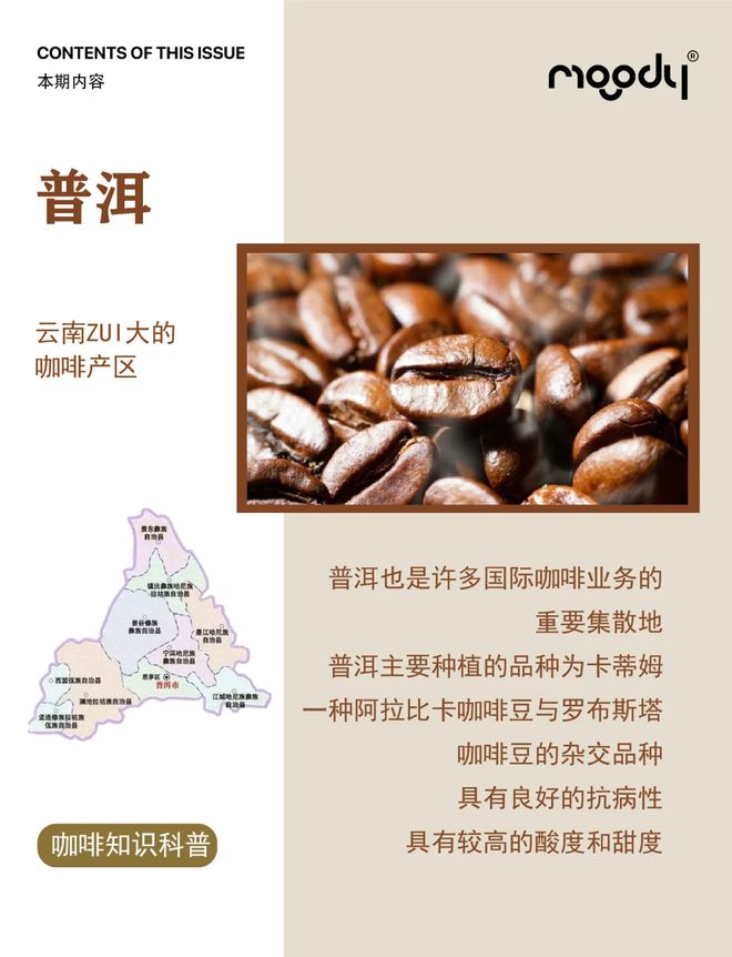：彩云之南的馥郁传奇AG真人网站云南咖啡(图8)