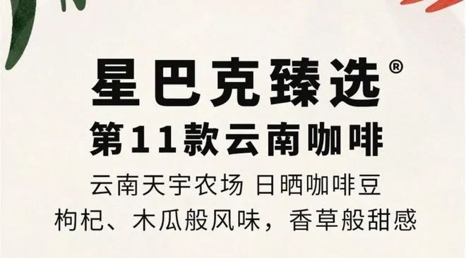：彩云之南的馥郁传奇AG真人网站云南咖啡(图6)