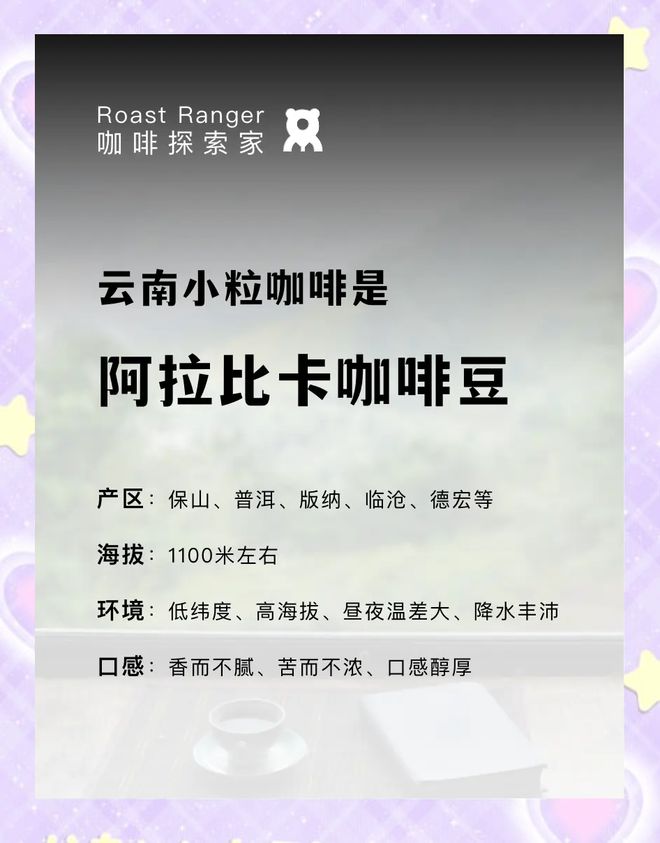 ：彩云之南的馥郁传奇AG真人网站云南咖啡(图19)