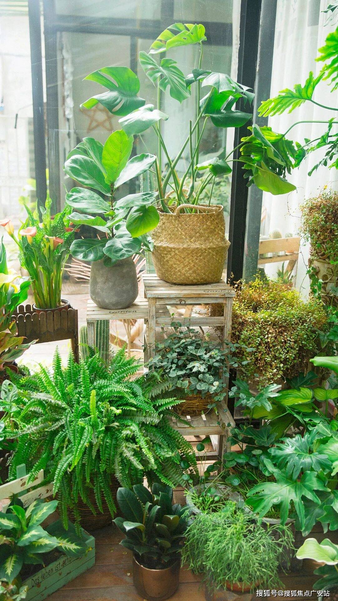 中心(营销中心)-小区环境-户型-价格-地址-楼盘详情-周边配套-售楼处电话AG真人地址2025年·五个院子的别墅(售楼处)首页网站-五个院子的别墅销售(图5)