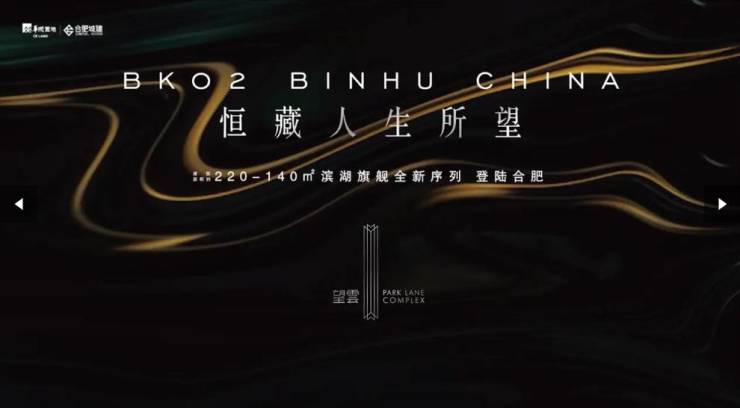 子高性价比合肥找房子信息-搜狐焦点AG真人中国望雲2026合肥找房(图5)